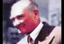 Sarı Zeybek