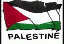 Savage Rose - Leve Palæstina