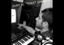 SEDAT AL - TOKAT SARMASI