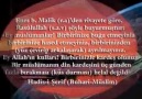 !!! SEHER VAKTİ BÜLBÜLLER !!! İLAHİİİ.....