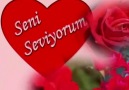 Seni Seviyorum; Ağır Cümledir... √ ς€Ł€ßĵ √