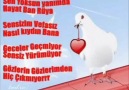 Sen Yoksun Yanımda Hayat Bana Rüya....