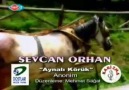 Sevcan Orhan - Aynalı Körük