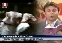 Sevgililer gününüz kutlu olsun !