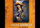 Seyda Perinçek - Negri Çawresamin [ KürT MüziĞi ] [HQ]