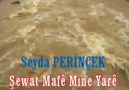 Seyda PERİNÇEK- ŞEWAT MAFÊ MINE YARÊ