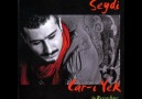 SEYDI& ZERRIN OZER  DEMEDIMMI GONUL SANA [HQ]