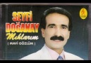 Seyfi Doğanay - Dön Garibim [HQ]