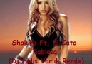 Shakira Ft. El Cata - Rabiosa (Dj Halis Varlık Remix) [HQ]
