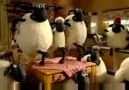 Shaun The Sheep - Life's A Treat