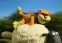 Shaun the Sheeps ''Hide and Squeak''  54