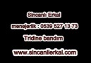 Sincanlı Erkal Tridine bandım