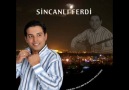 sincanlı ferdi atım arap 2011