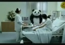 Sıradışı bir Reklam (PANDA'YA ASLA HAYIR DEMEYİN)