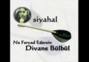 SIYAHAL  NE FERYAD EDERSIN DIVANE BULBUL