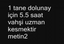 Siz Metin2 Nedir Bilir misiniz?