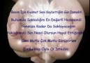 Soner Arica    Biz