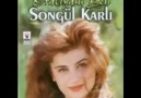 SONGUL KARLI TAZE KARLAR YAGMIS KARIN USTUNE