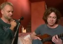 Sting - Shape of My Heart (Acoustic)
