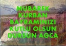 SU MUBAREK GUNDE KUSLUK OLURMU UZAT ELINI BAYRAMLASALIM [HQ]