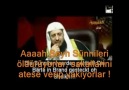Sünni katliamının delili! Şia ile vahdet mi?