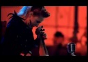 Süreyya - Hayde