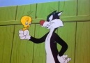 Sylvester & Tweety