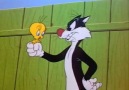 Sylvester & Tweety [HQ]