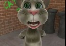 Talking Tom