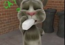 Talking Tom