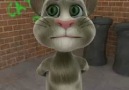 Talking Tom