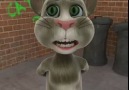 Talking Tom