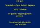 Tam 48 Gündür ...