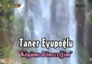 taner eyyüpoğlu---