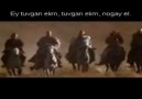 TANRI'NIN ASLANLARI: TÜRKLER - NOGAYLAR