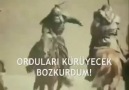 Tanrı Türkü koruyacak Bozkurdum!