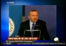 Tayyip Dönme Dolap Gibisin :)