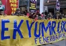 TEK YUMRUK YÜRÜYÜŞÜ