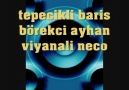 tepecıklı barıs - borekcı ayhan