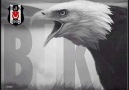 Tepki : Siyah-Beyaz !  3
