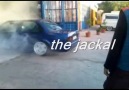 the jackal son ... [HQ]