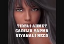 TIRELI AHMET CADILIK YAPMA BY WINEC