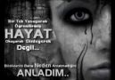 ToLqa TaBu - aNLaDıM