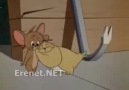 Tom & Jerry ( Jerry Kendine Köpek Alıyor )