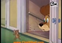 Tom ve Jerry - Sirkten Vahşi Bir Aslan Kaçtı :)))