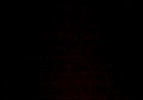 TOZLU RAFLARDAN YENİ BİR BESTE..... [HQ]
