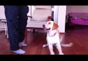 Tubi's Funny Excercise :) [HQ]