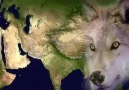 Türk Evladı Hatırla Nerden Geldiğini Kendine Gelll