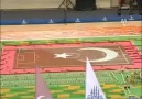 285) Türkiye domino