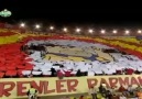 Türkiye kupasını gören son fenerli